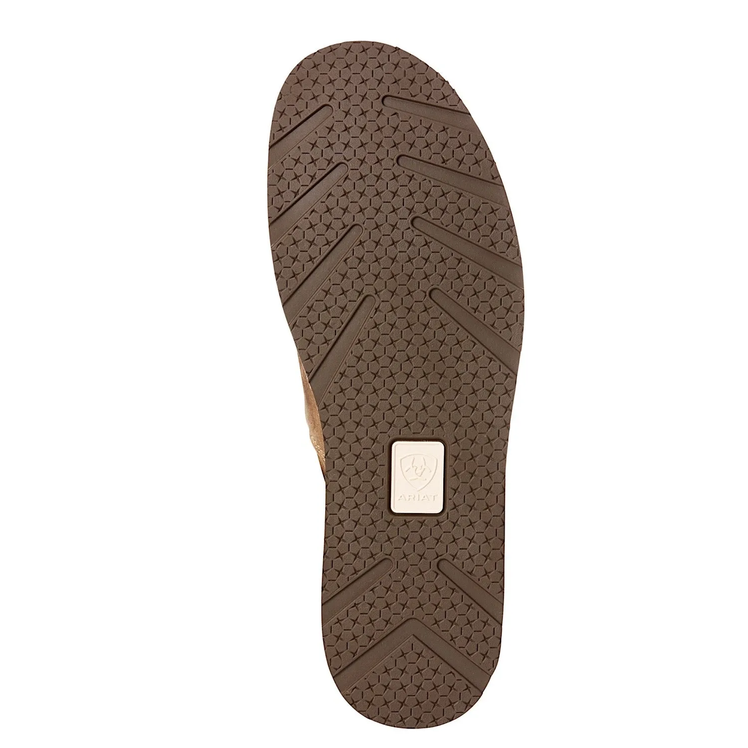 Chaussures Ariat Bomber Marron Cruiser pour Homme