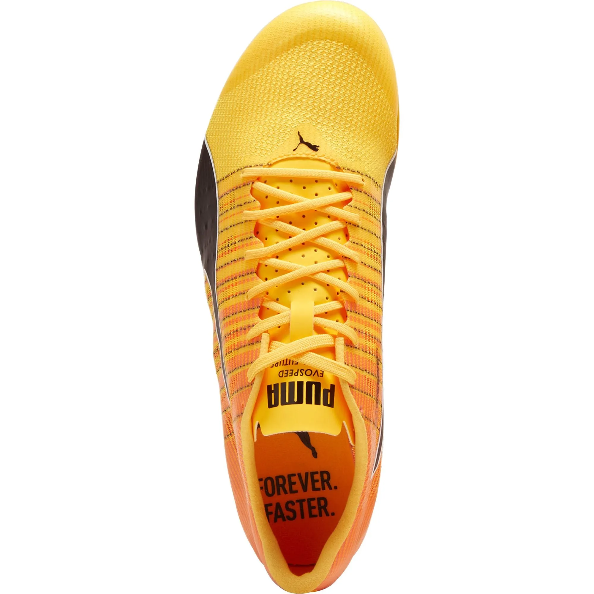 Chaussures Puma Puma evoSpeed Future 6 Pointes de course - Orange